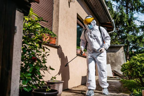 Best Bed Bug Extermination  in Raceland, KY