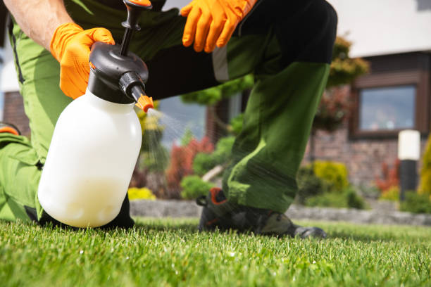 Best Pest Control for Businesses  in Raceland, KY