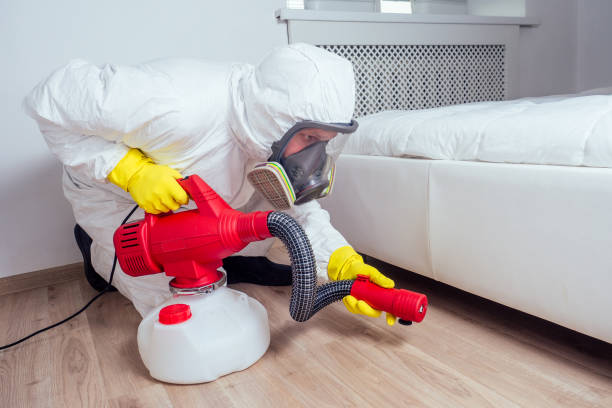 Best Affordable Pest Control Services  in Raceland, KY