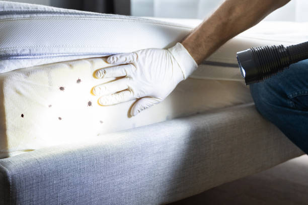 Best Pest Prevention Services  in Raceland, KY