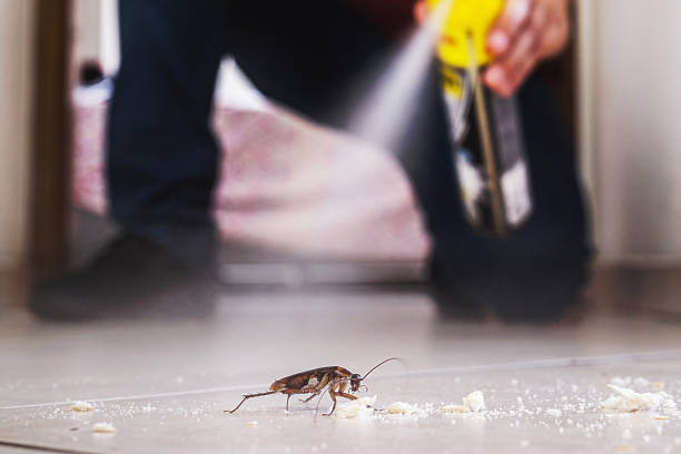 Best Pest Control for Homes  in Raceland, KY