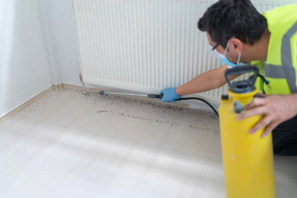 Best Pest Control Cost  in Raceland, KY