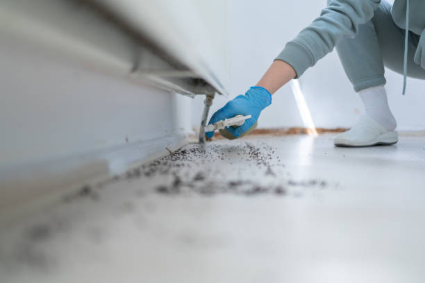 Professional Pest Control in Raceland, KY
